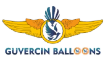 Partner Logo 11